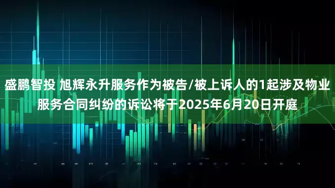 盛鹏智投 旭辉永升服务作为被告/被上诉人的1起涉及物业服务合同纠纷的诉讼将于2025年6月20日开庭