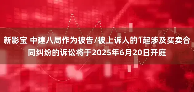 新影宝 中建八局作为被告/被上诉人的1起涉及买卖合同纠纷的诉讼将于2025年6月20日开庭
