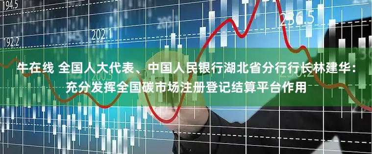 牛在线 全国人大代表、中国人民银行湖北省分行行长林建华：充分发挥全国碳市场注册登记结算平台作用
