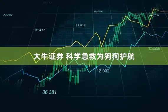 大牛证券 科学急救为狗狗护航