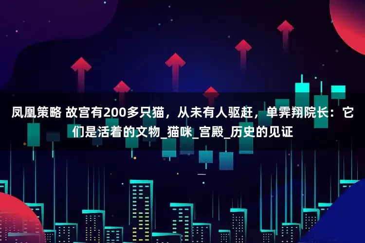 凤凰策略 故宫有200多只猫，从未有人驱赶，单霁翔院长：它们是活着的文物_猫咪_宫殿_历史的见证