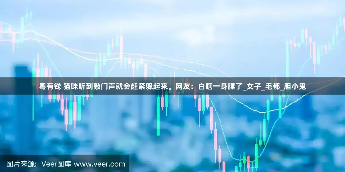 粤有钱 猫咪听到敲门声就会赶紧躲起来。网友：白瞎一身膘了_女子_毛都_胆小鬼
