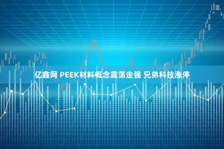 亿鑫网 PEEK材料概念震荡走强 兄弟科技涨停