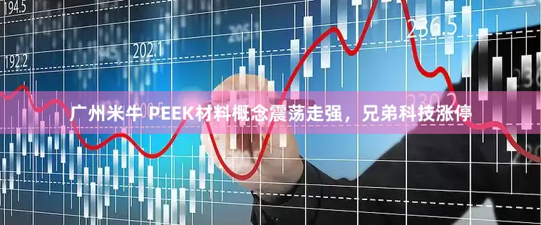 广州米牛 PEEK材料概念震荡走强，兄弟科技涨停