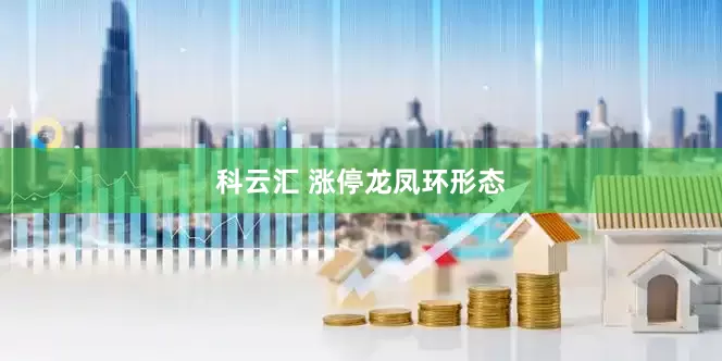 科云汇 涨停龙凤环形态