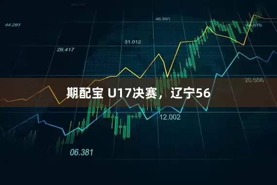 期配宝 U17决赛,辽宁56