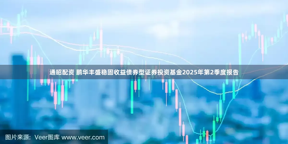 通昭配资 鹏华丰盛稳固收益债券型证券投资基金2025年第2季度报告