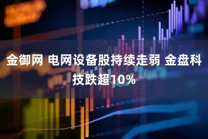 金御网 电网设备股持续走弱 金盘科技跌超10%